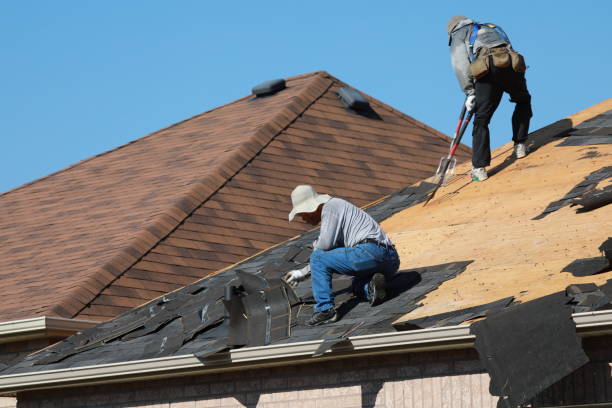 Best Roof Ventilation Installation  in Westminster, CO